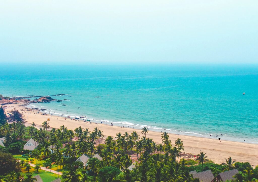 A tranquil beach with swaying palm trees and a bright blue sky overhead.