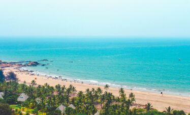 A tranquil beach with swaying palm trees and a bright blue sky overhead.