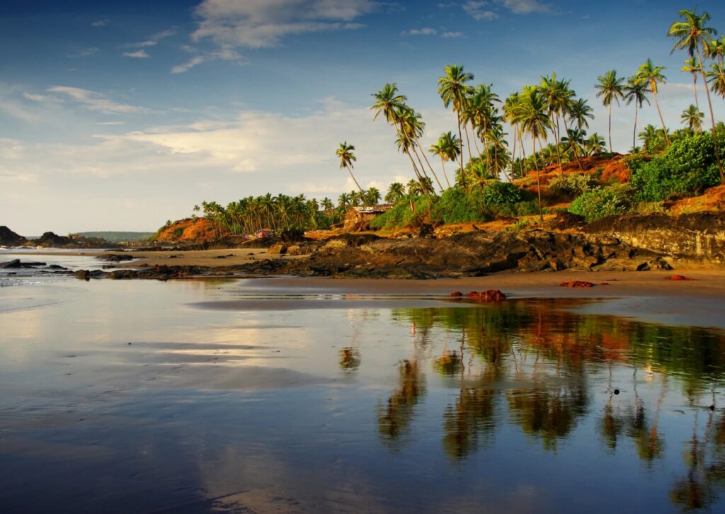 A tranquil beach with swaying palm trees and a bright blue sky overhead.
