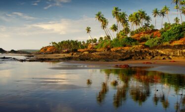 A tranquil beach with swaying palm trees and a bright blue sky overhead.
