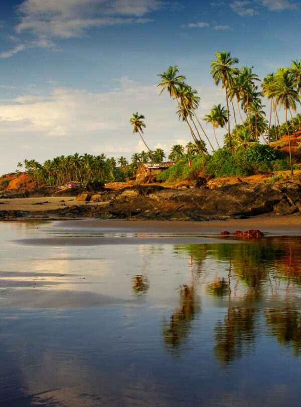 A tranquil beach with swaying palm trees and a bright blue sky overhead.