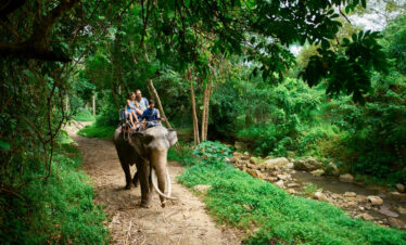 riding an elephant along a jungle path during the Topslip Parambikulam Elephant Safari.