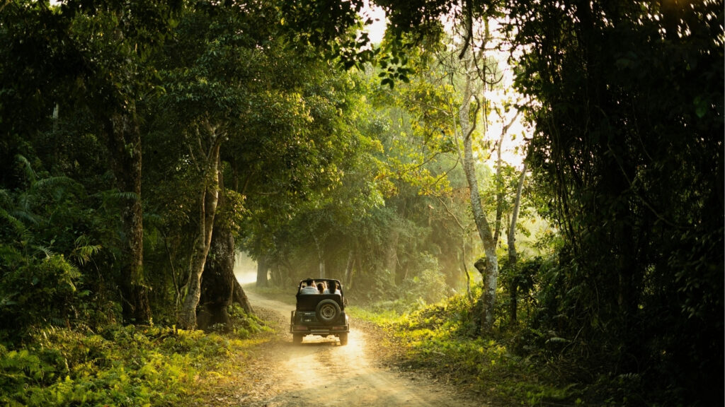 A jeep driving along a rugged dirt path in the jungle, part of a safari experience in Topslip Parambikulam.