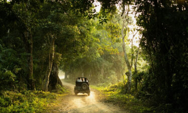 A jeep driving along a rugged dirt path in the jungle, part of a safari experience in Topslip Parambikulam.