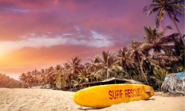 A tranquil beach with swaying palm trees and a bright blue sky overhead.