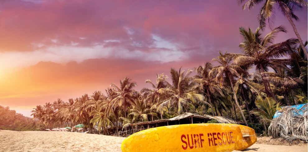 A tranquil beach with swaying palm trees and a bright blue sky overhead.