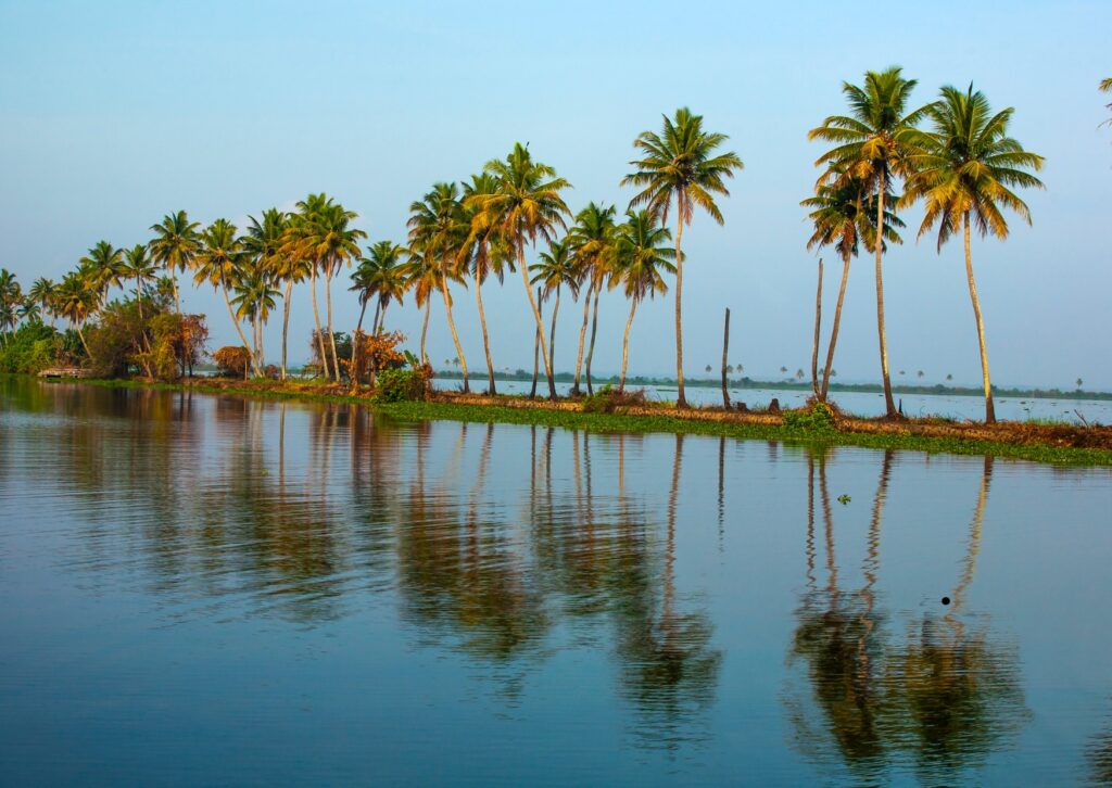 Alleppey backwaters, surrounded by lush palm trees and tranquil water.