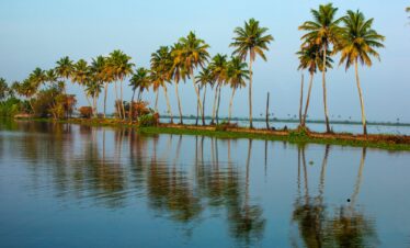 Alleppey backwaters, surrounded by lush palm trees and tranquil water.